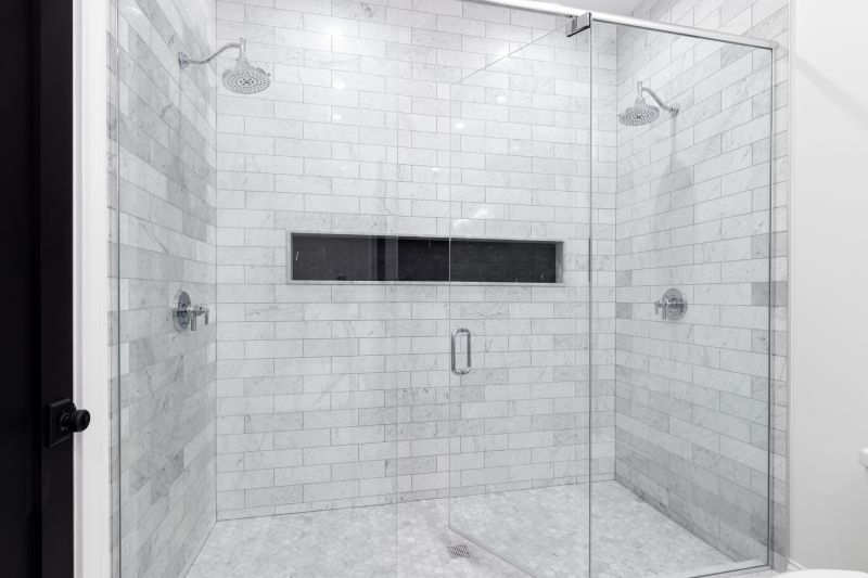 Minimalist Shower Door